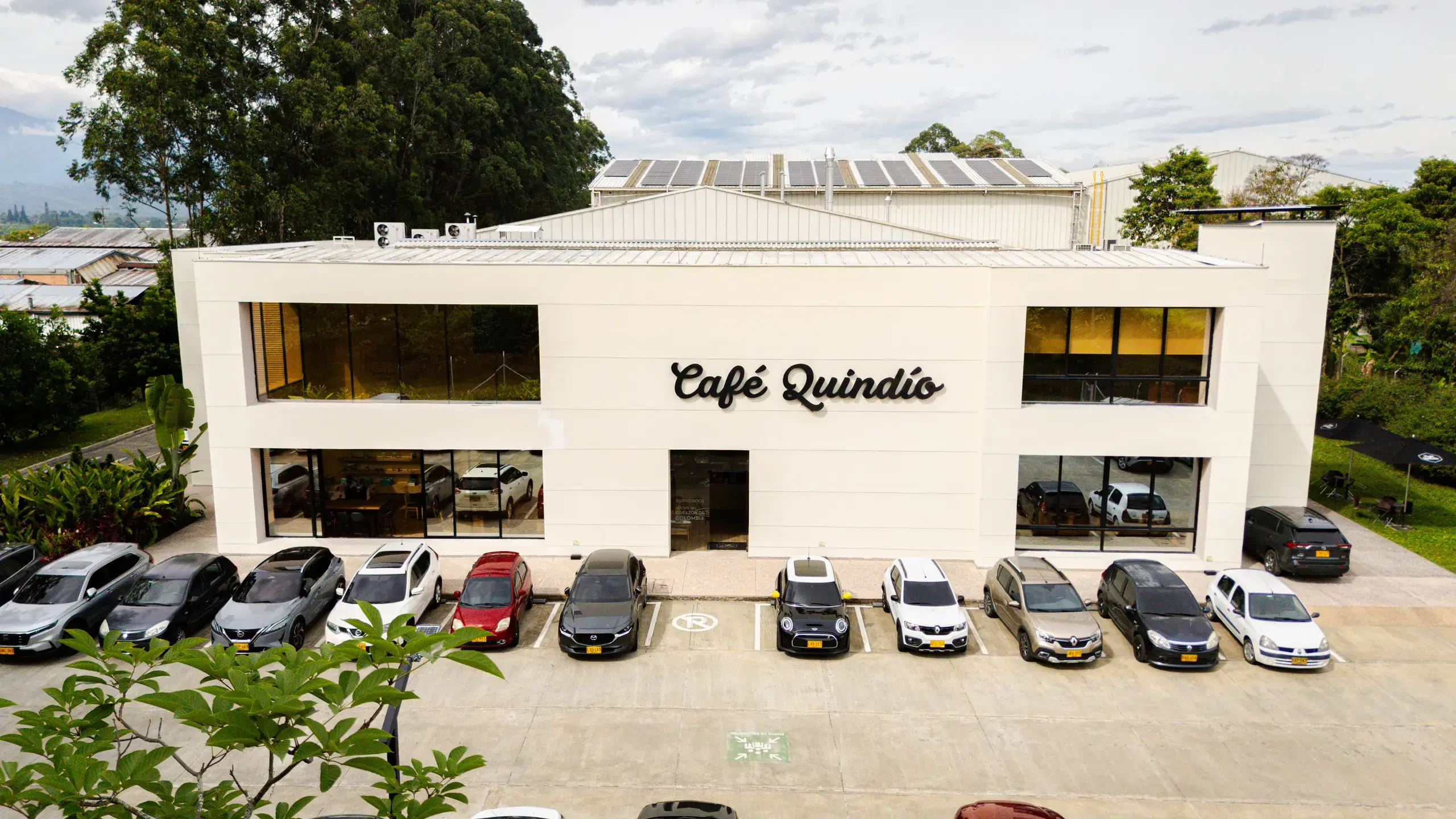 Planta de Café Quindío